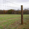 Live Stock Wire Mesh Fence