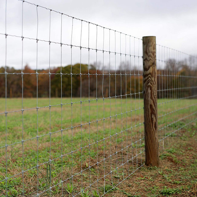 Live Stock Wire Mesh Fence