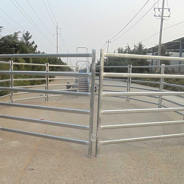 Cattle Panel