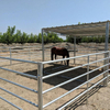 Horse Panel