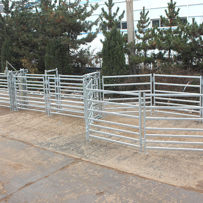 Cattle Panel