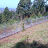 Steel Palisade Fence