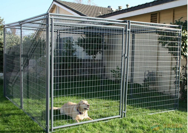 Dog kennel